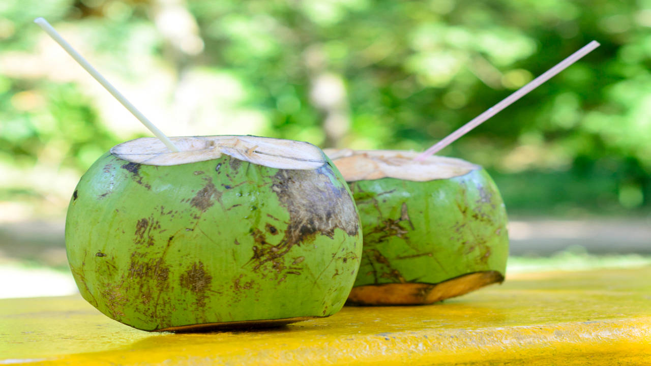 Decoding the Popularity of Coconut Water