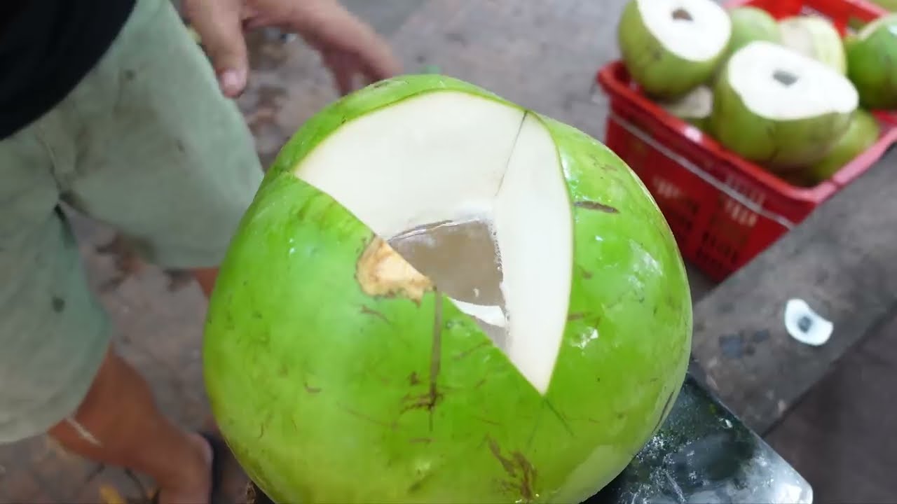 Exploring Bentre, the Heart of Coconut Cultivation