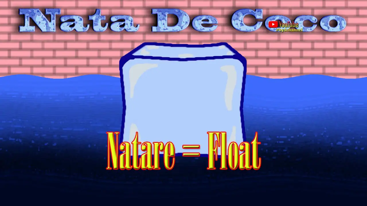 Nata de coco layer formed on fermented coconut water