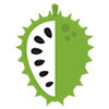 Soursop